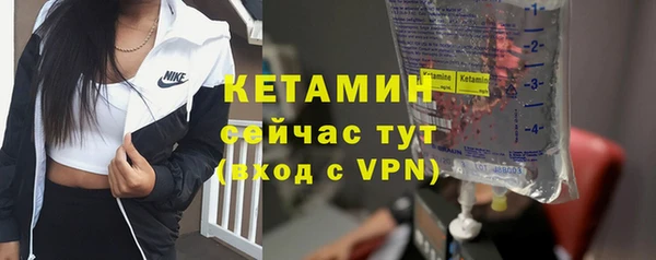 гидра Богородск