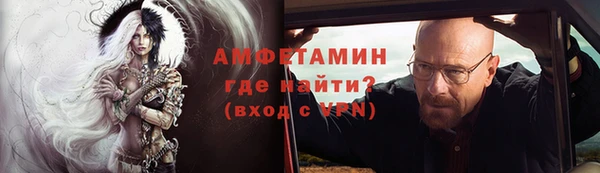 гидра Богородск