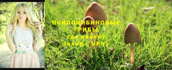 гидра Богородск