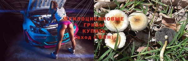 спайс Богородицк