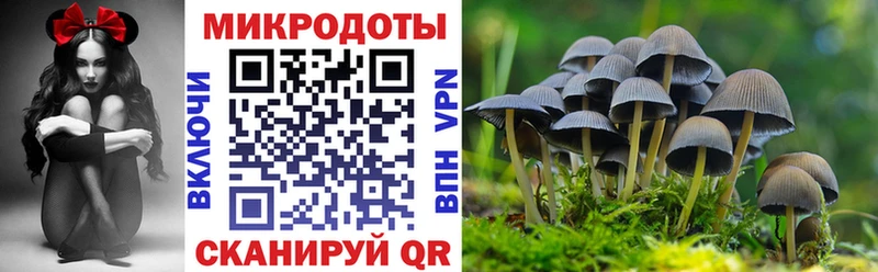 купить наркотик  KRAKEN ссылки  Псилоцибиновые грибы Cubensis  Кондопога 